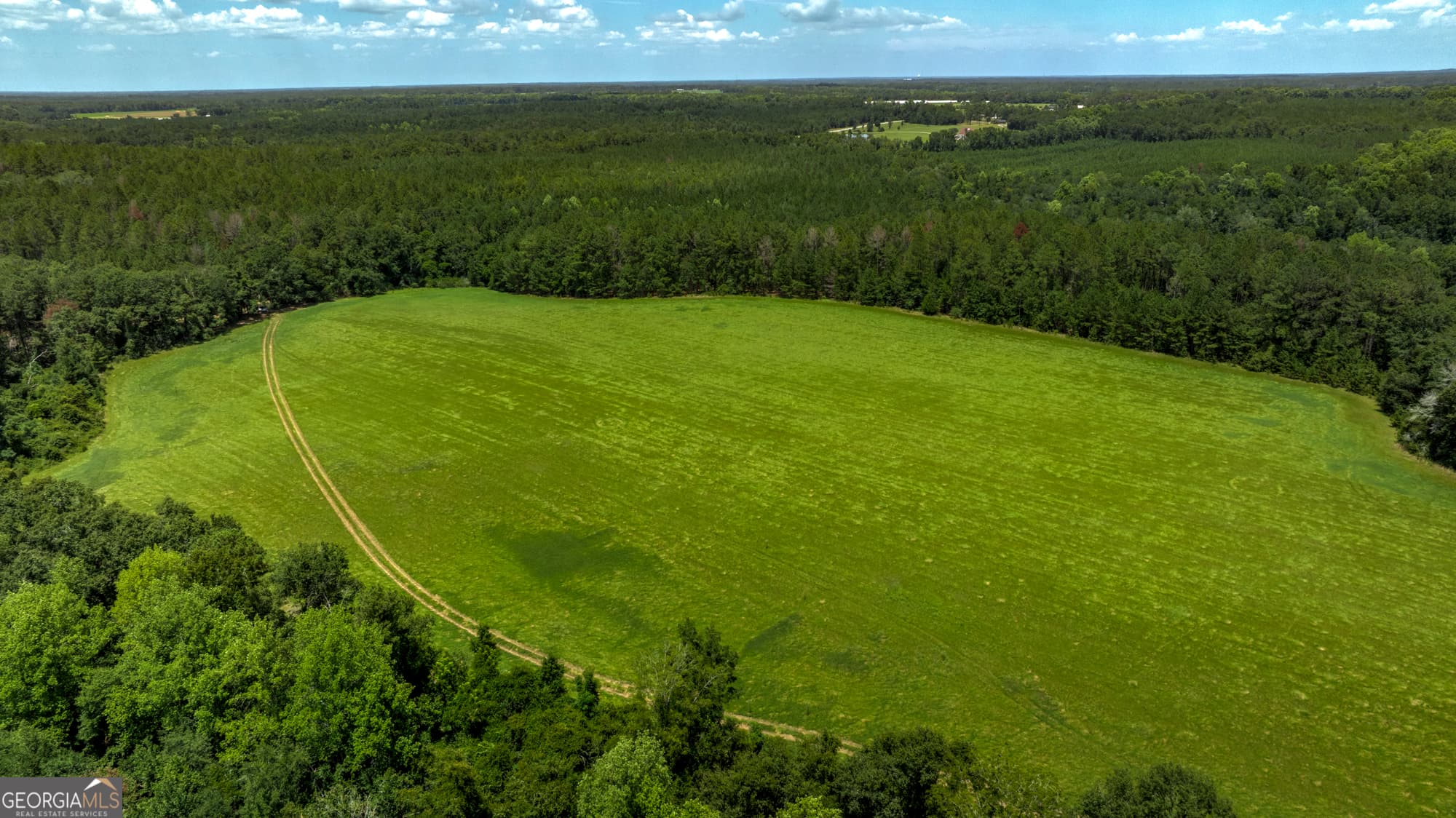 agriculture for sale at 0 Wallace Parker Drive, Claxton, GA 30417 — photo 2