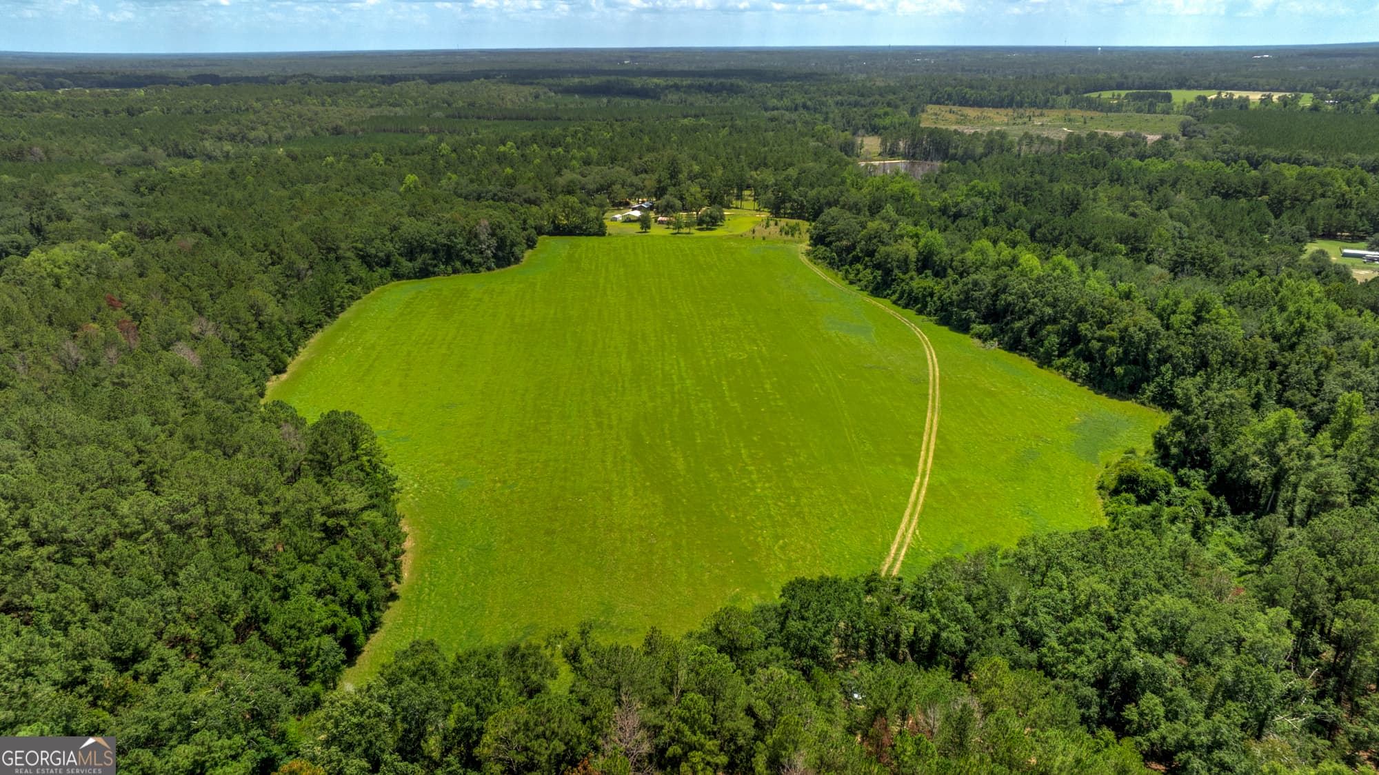 agriculture for sale at 0 Wallace Parker Drive, Claxton, GA 30417 — photo 6