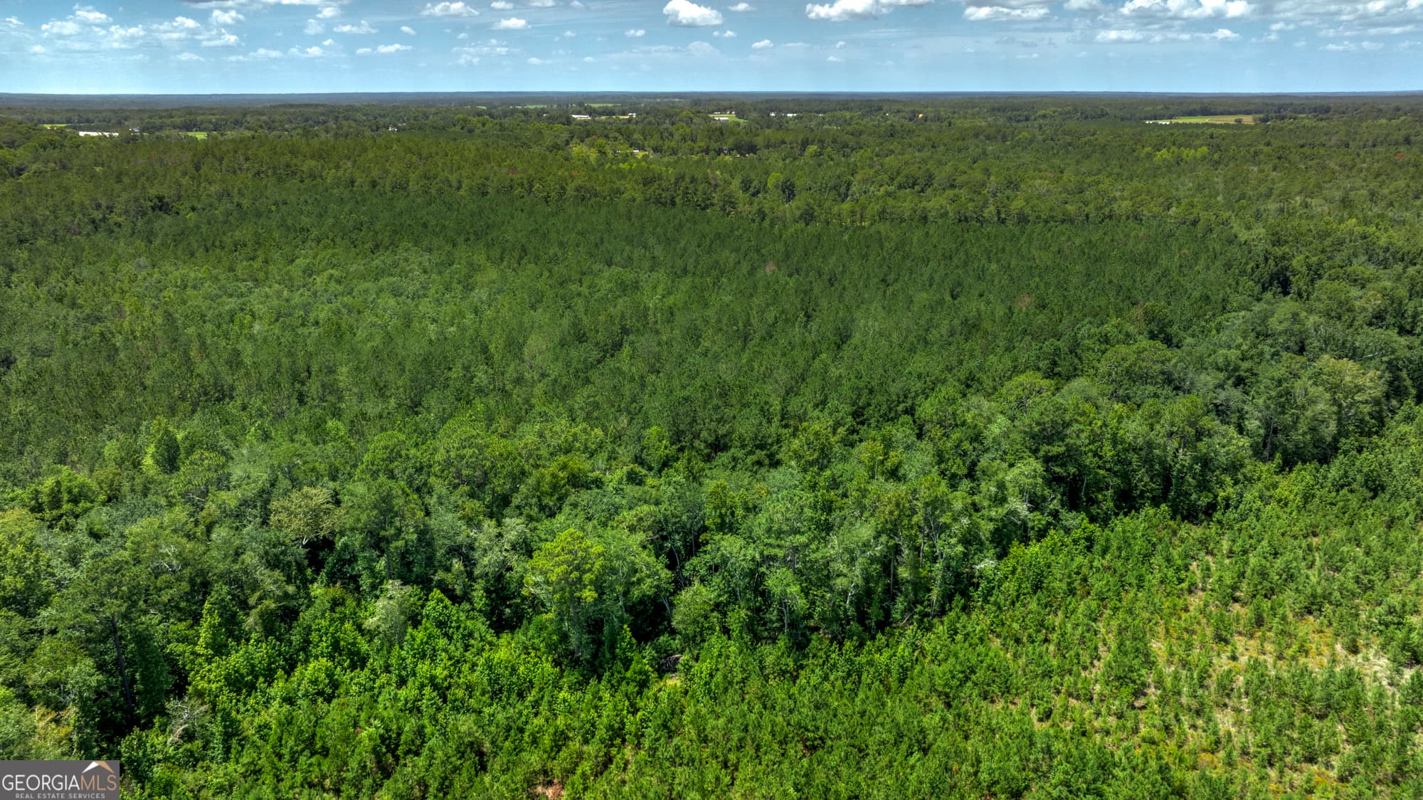 agriculture for sale at 0 Wallace Parker Drive, Claxton, GA 30417 — photo 7