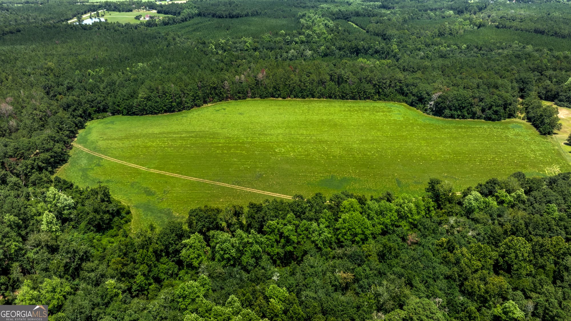 agriculture for sale at 0 Wallace Parker Drive, Claxton, GA 30417 — photo 3