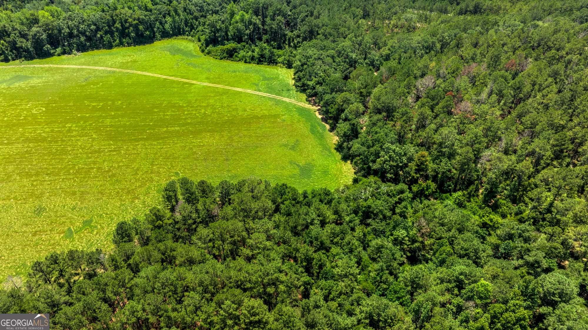 agriculture for sale at 0 Wallace Parker Drive, Claxton, GA 30417 — photo 5