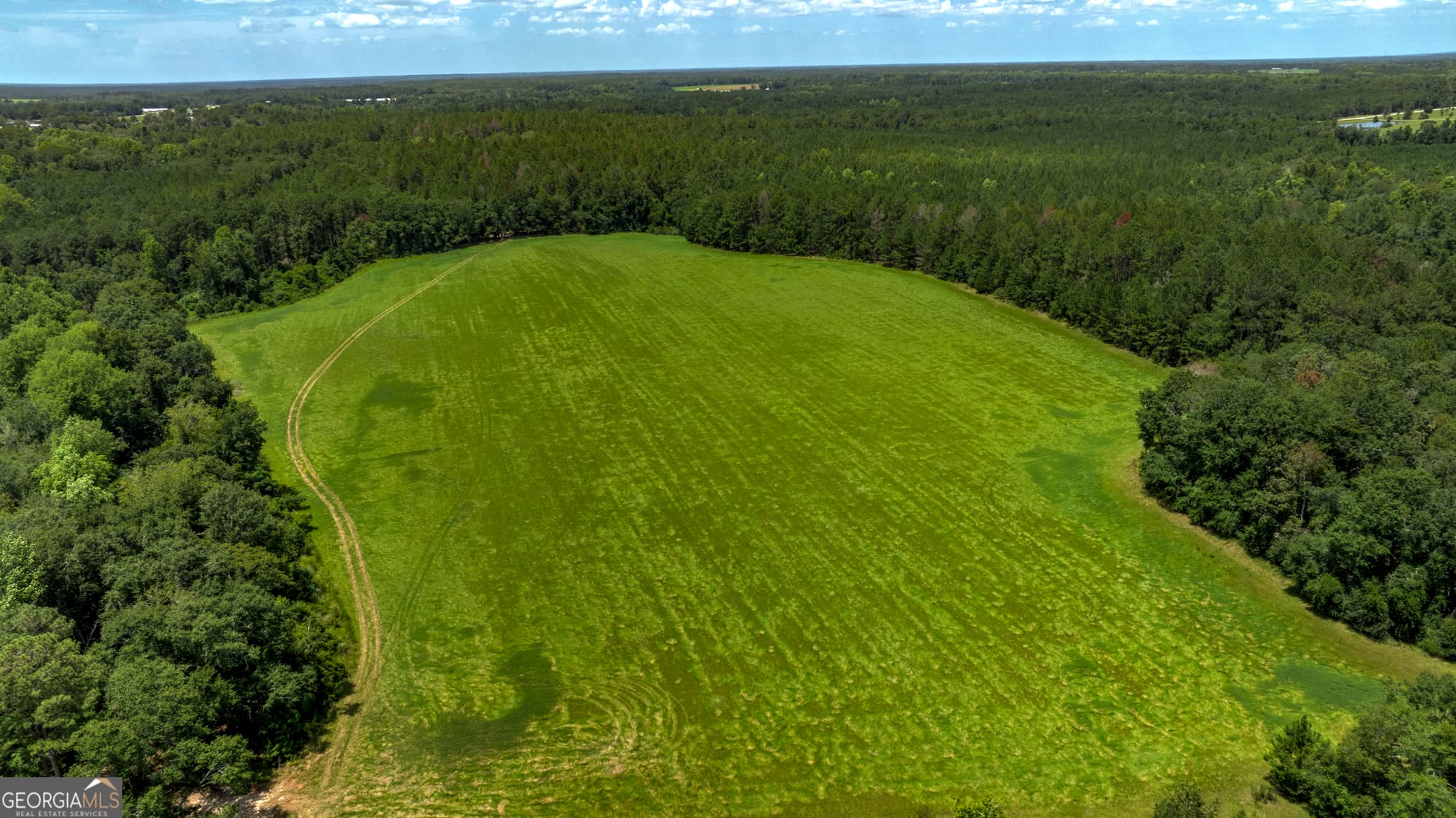 agriculture for sale at 0 Wallace Parker Drive, Claxton, GA 30417 — photo 9