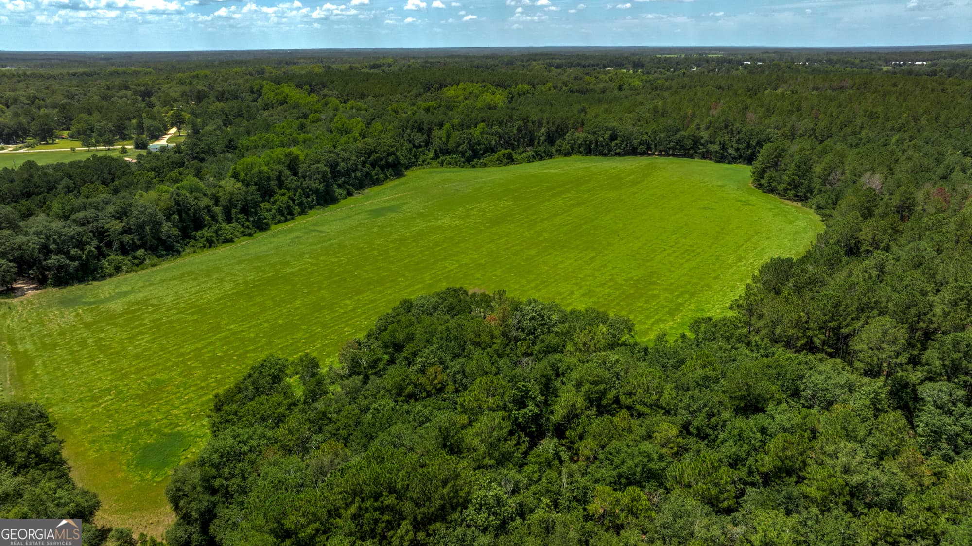 agriculture for sale at 0 Wallace Parker Drive, Claxton, GA 30417 — photo 10
