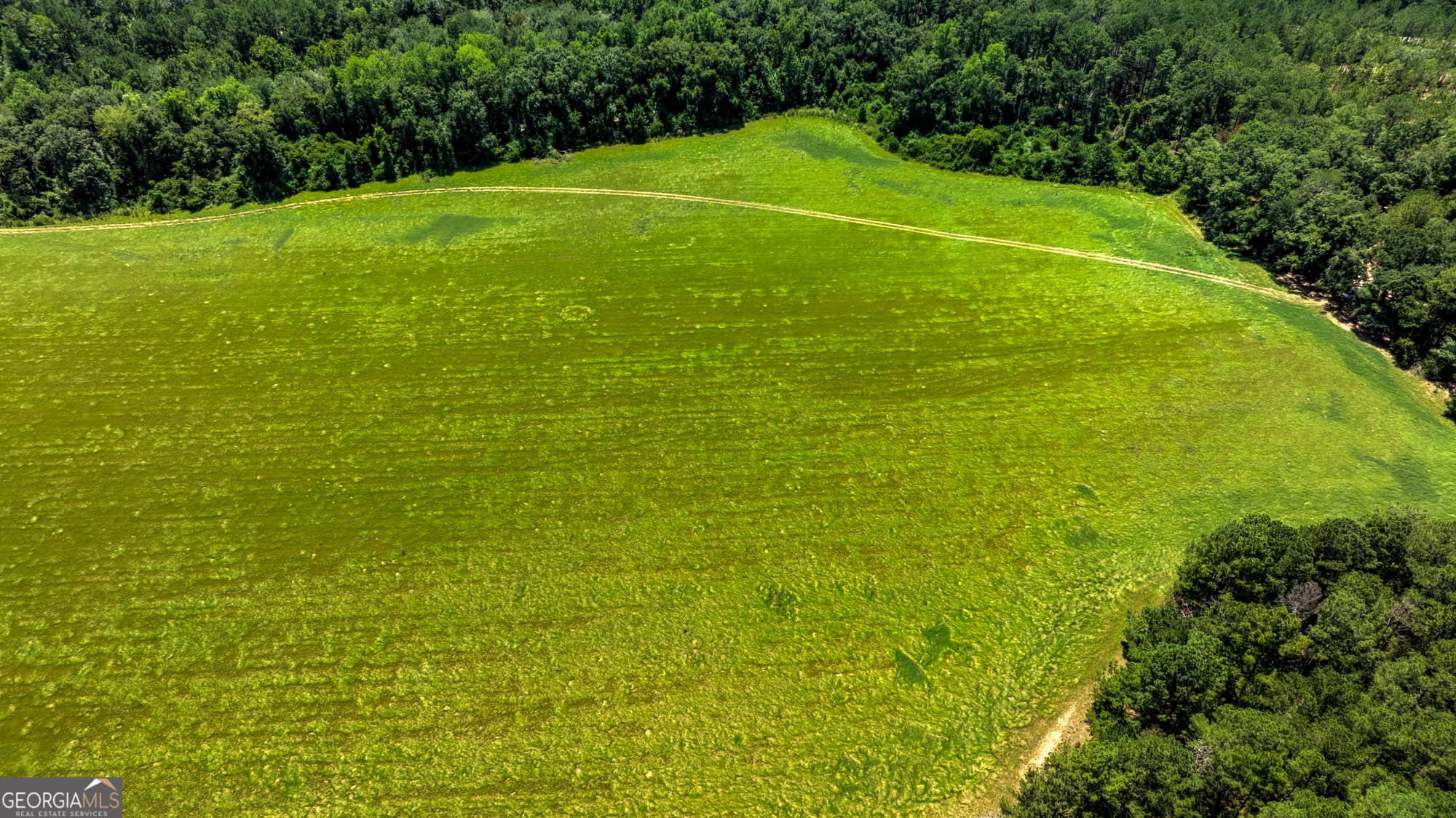 agriculture for sale at 0 Wallace Parker Drive, Claxton, GA 30417 — photo 4