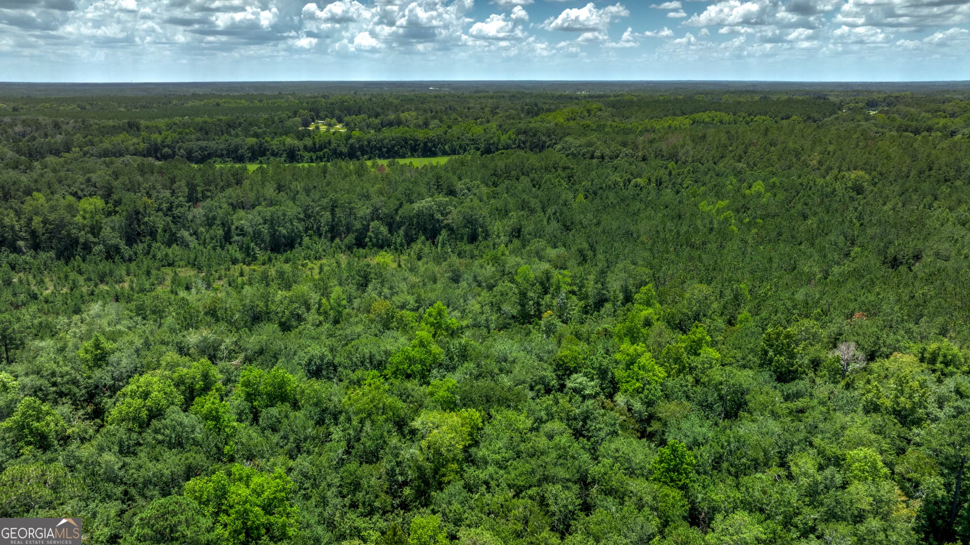 agriculture for sale at 0 Wallace Parker Drive, Claxton, GA 30417 — photo 8