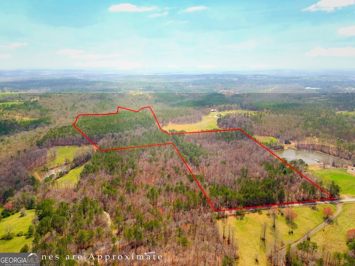 agriculture for sale at 0 Clem Lowell Road, Carrollton, GA 30116 — photo 2