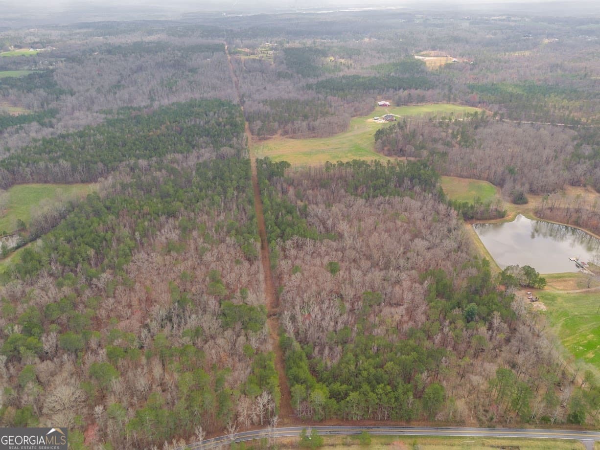 agriculture for sale at 0 Clem Lowell Road, Carrollton, GA 30116 — photo 6