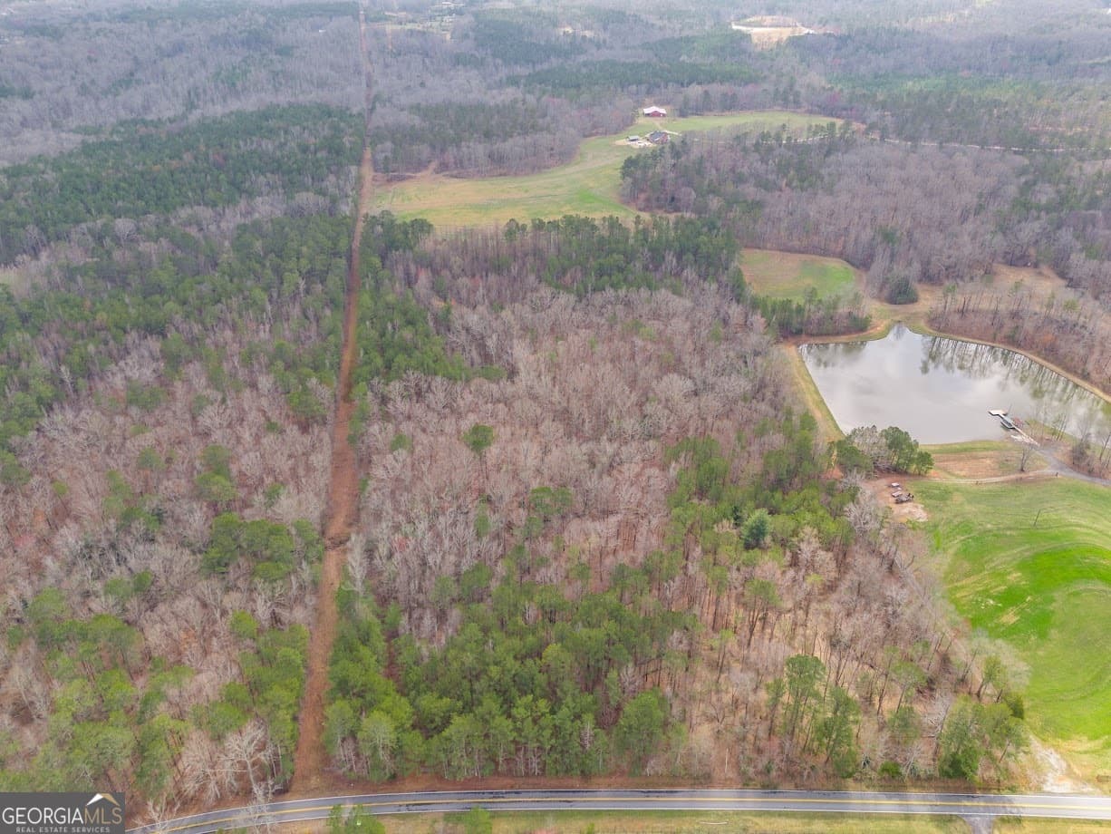 agriculture for sale at 0 Clem Lowell Road, Carrollton, GA 30116 — photo 7