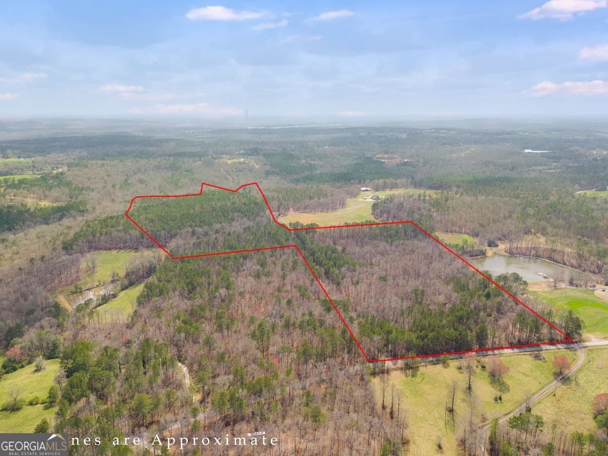 agriculture for sale at 0 Clem Lowell Road, Carrollton, GA 30116 — photo 3