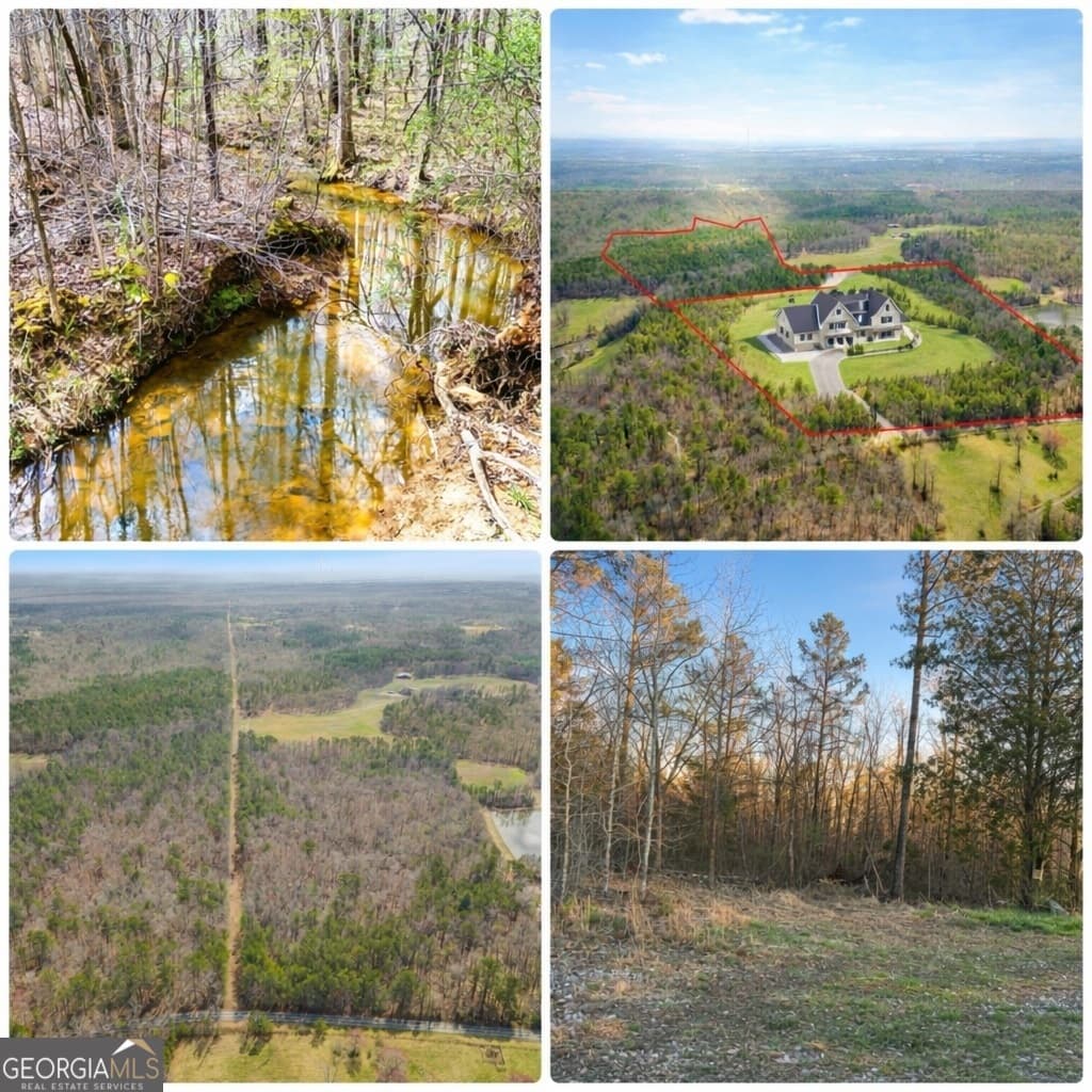 agriculture for sale at 0 Clem Lowell Road, Carrollton, GA 30116