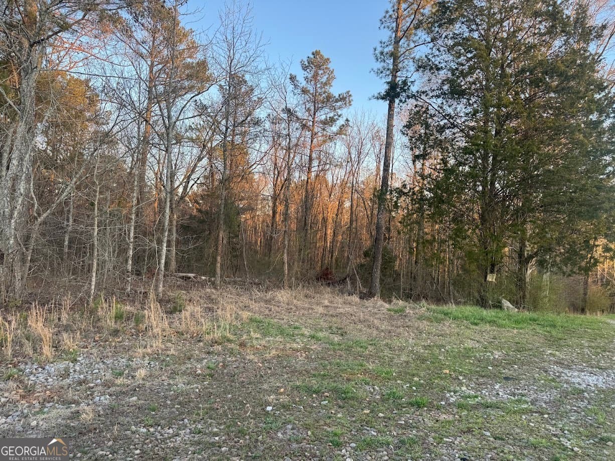 agriculture for sale at 0 Clem Lowell Road, Carrollton, GA 30116 — photo 5
