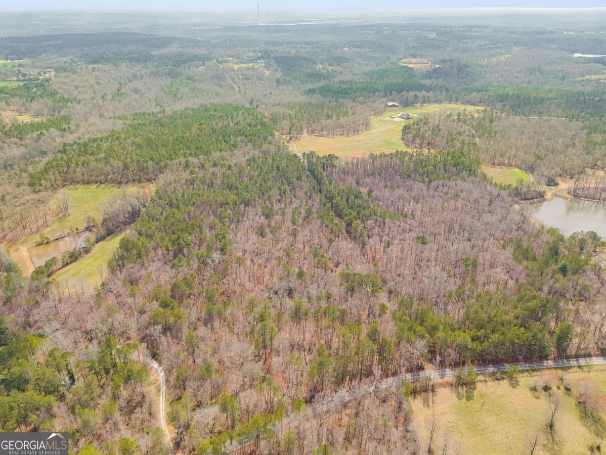 agriculture for sale at 0 Clem Lowell Road, Carrollton, GA 30116 — photo 9