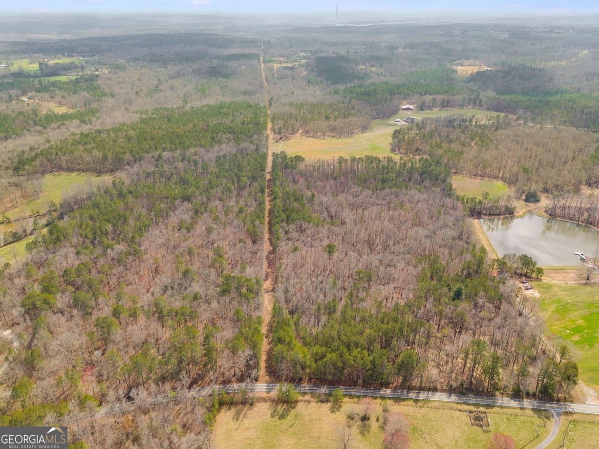 agriculture for sale at 0 Clem Lowell Road, Carrollton, GA 30116 — photo 10