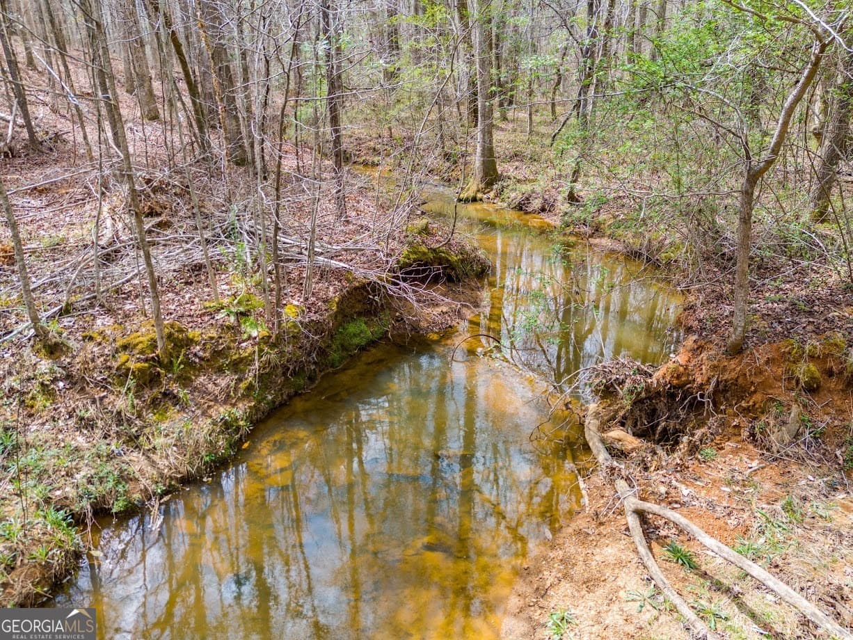 agriculture for sale at 0 Clem Lowell Road, Carrollton, GA 30116 — photo 4