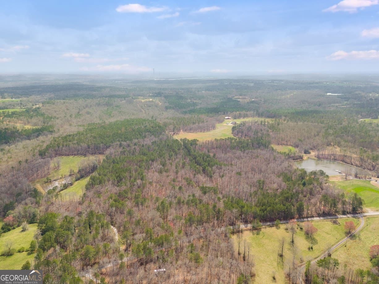 agriculture for sale at 0 Clem Lowell Road, Carrollton, GA 30116 — photo 8