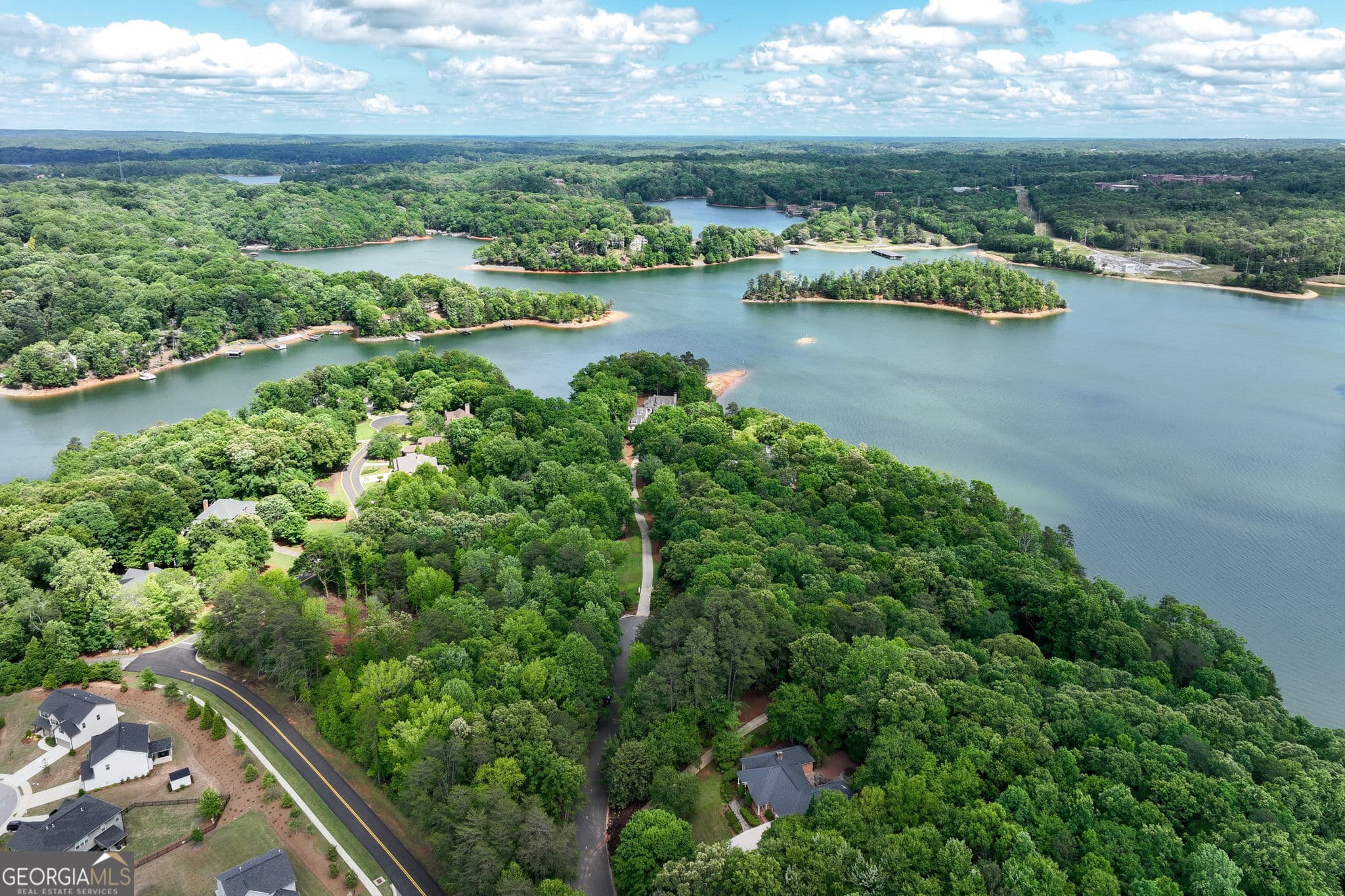 residential lot for sale at 208 Lake Pointe Drive, Gainesville, GA 30506 — photo 5