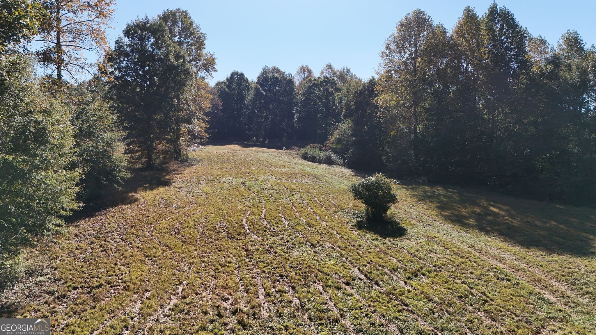 residential lot for sale at 0 Town Creek Road, Cleveland, GA 30528 — photo 2