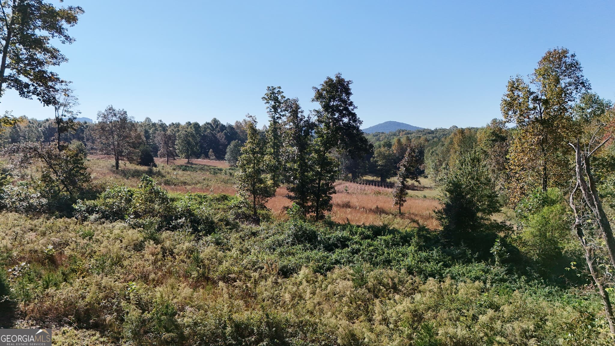 residential lot for sale at 0 Town Creek Road, Cleveland, GA 30528 — photo 7
