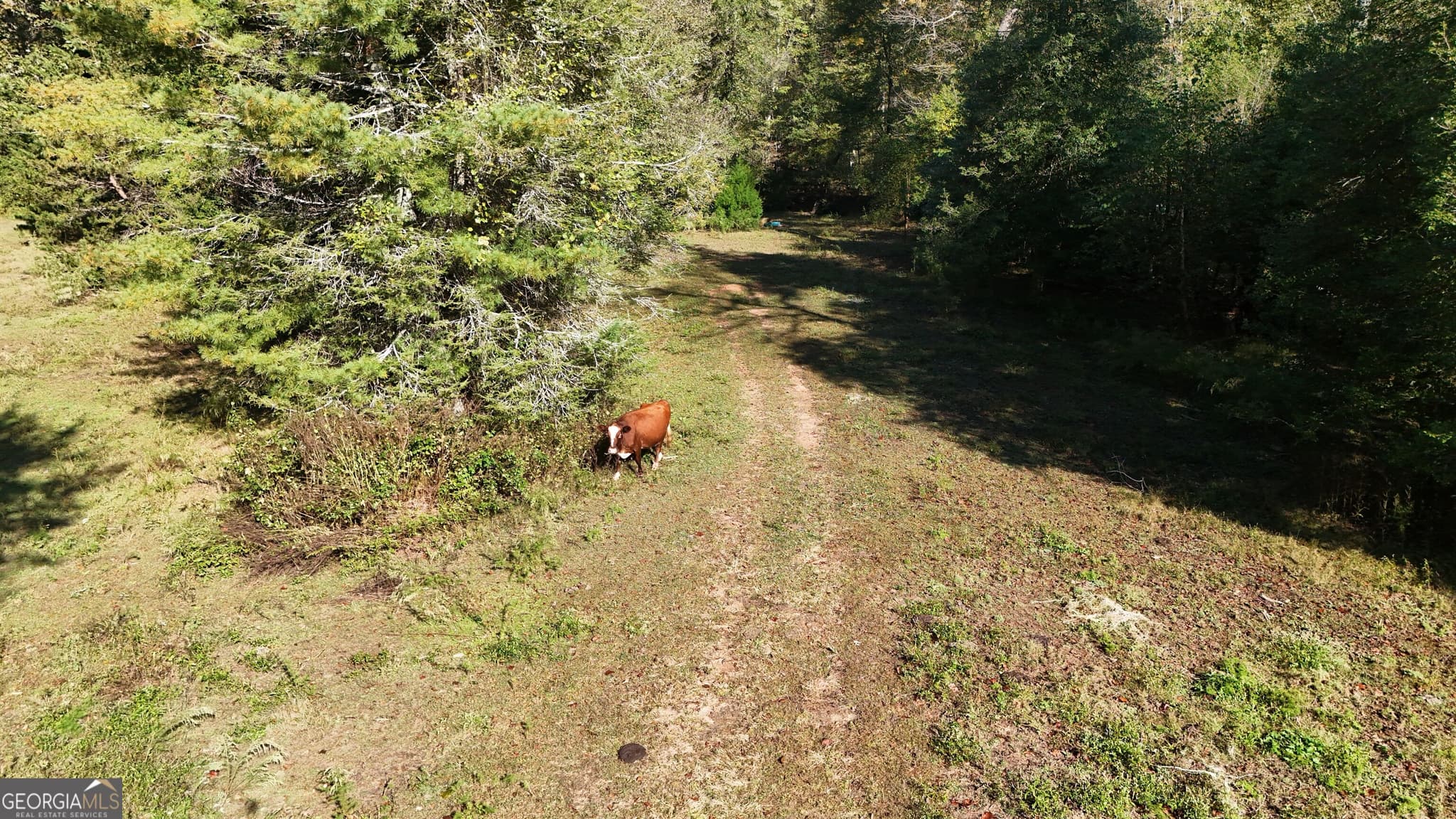 residential lot for sale at 0 Town Creek Road, Cleveland, GA 30528 — photo 5