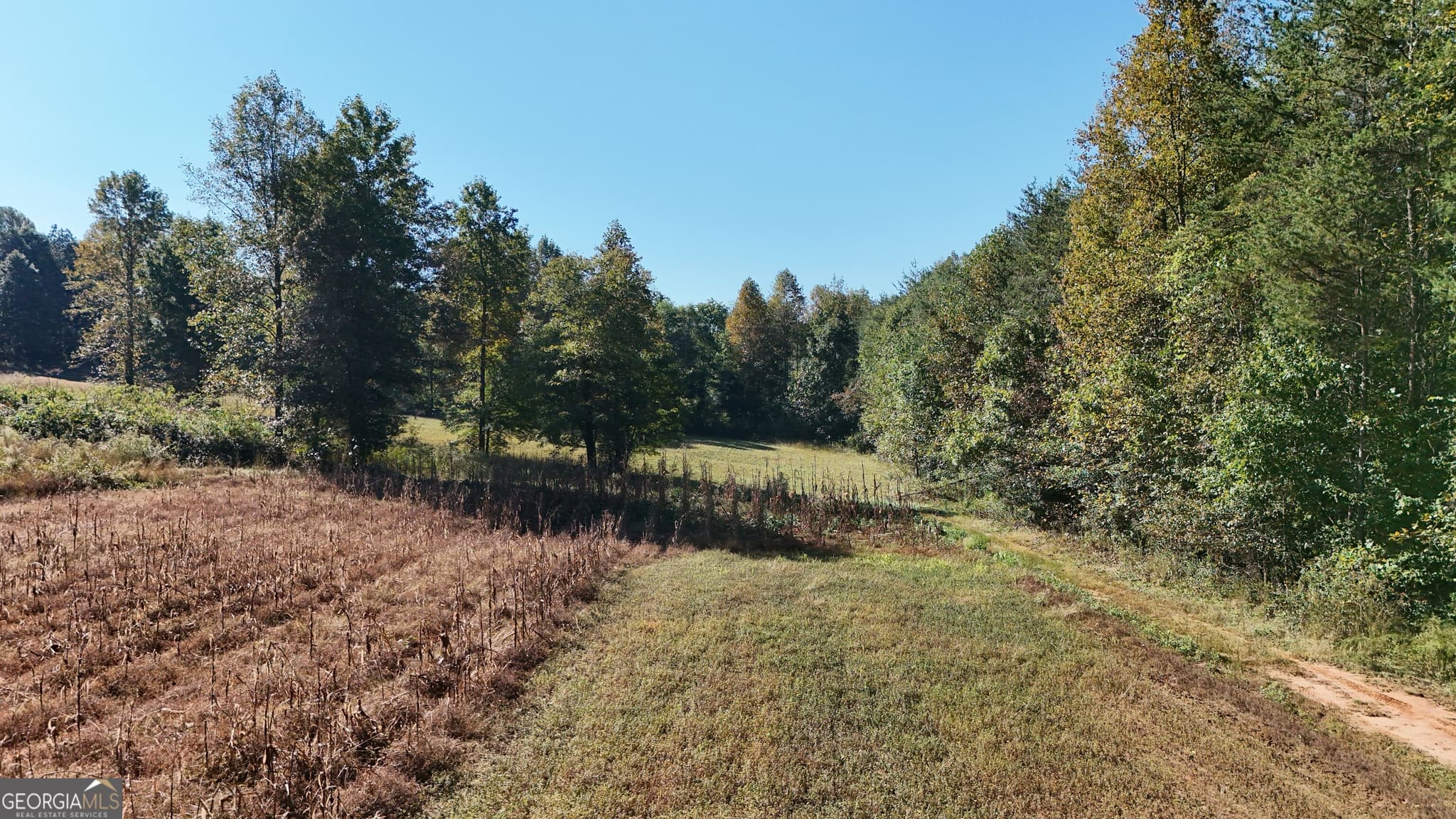 residential lot for sale at 0 Town Creek Road, Cleveland, GA 30528 — photo 9