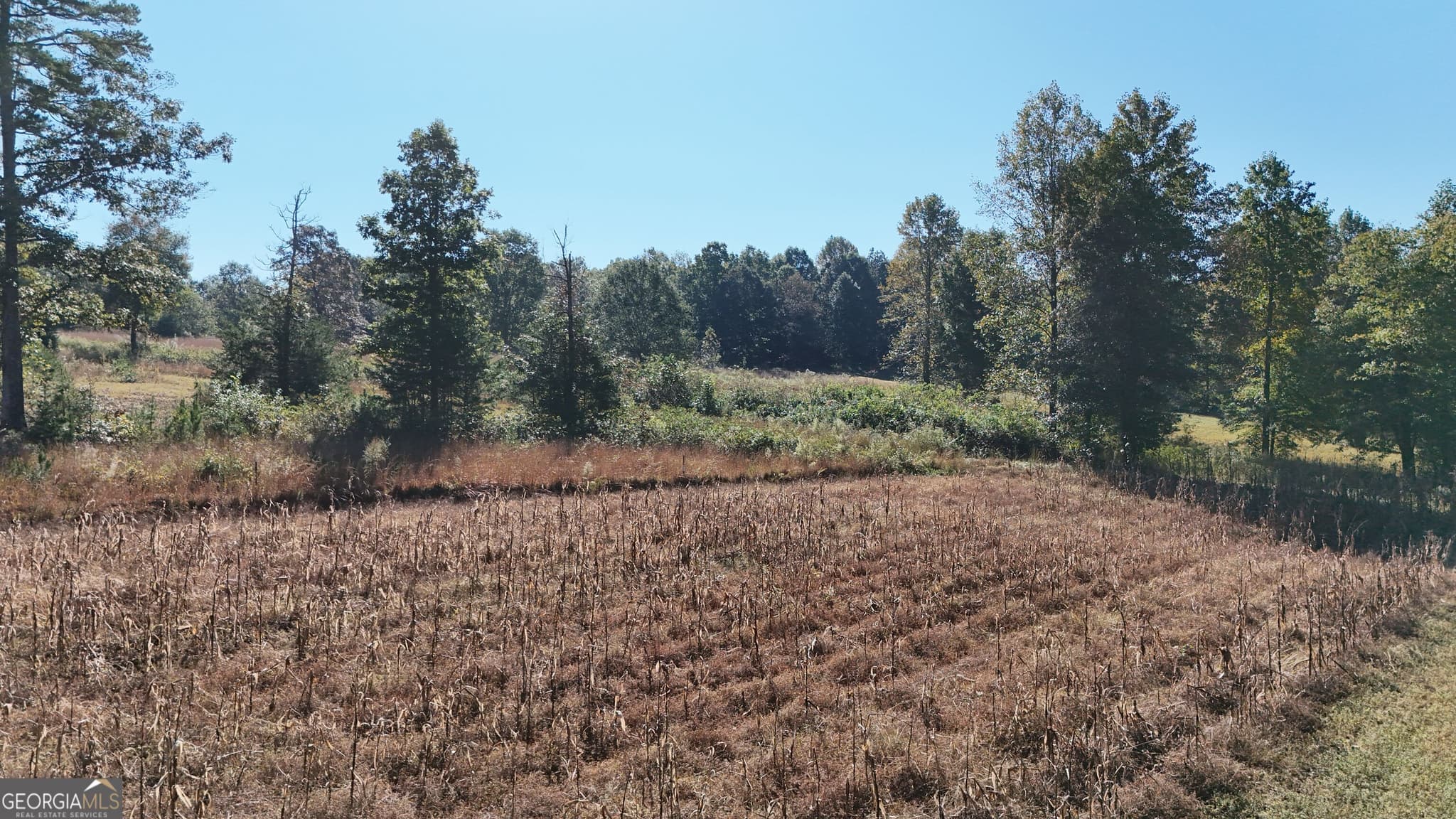 residential lot for sale at 0 Town Creek Road, Cleveland, GA 30528 — photo 10