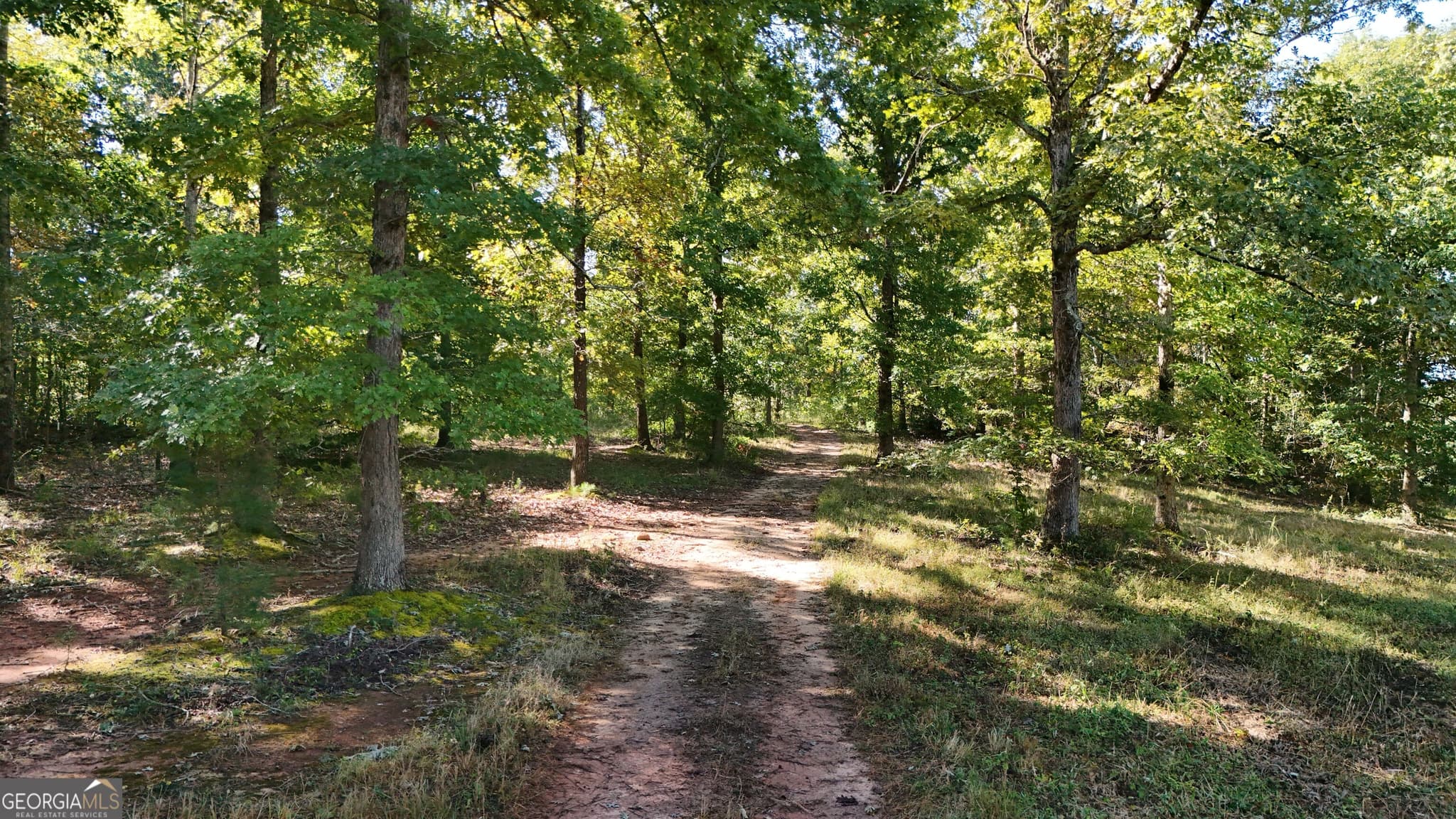 residential lot for sale at 0 Town Creek Road, Cleveland, GA 30528 — photo 4