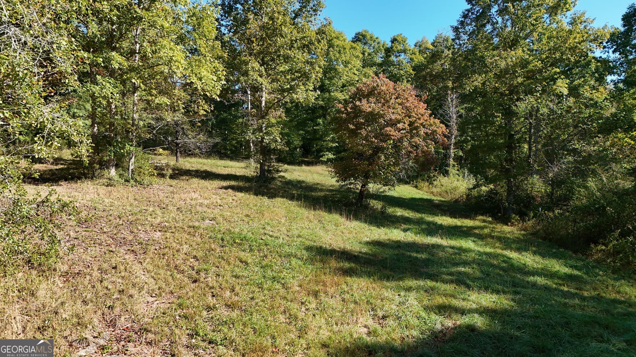 residential lot for sale at 0 Town Creek Road, Cleveland, GA 30528 — photo 8