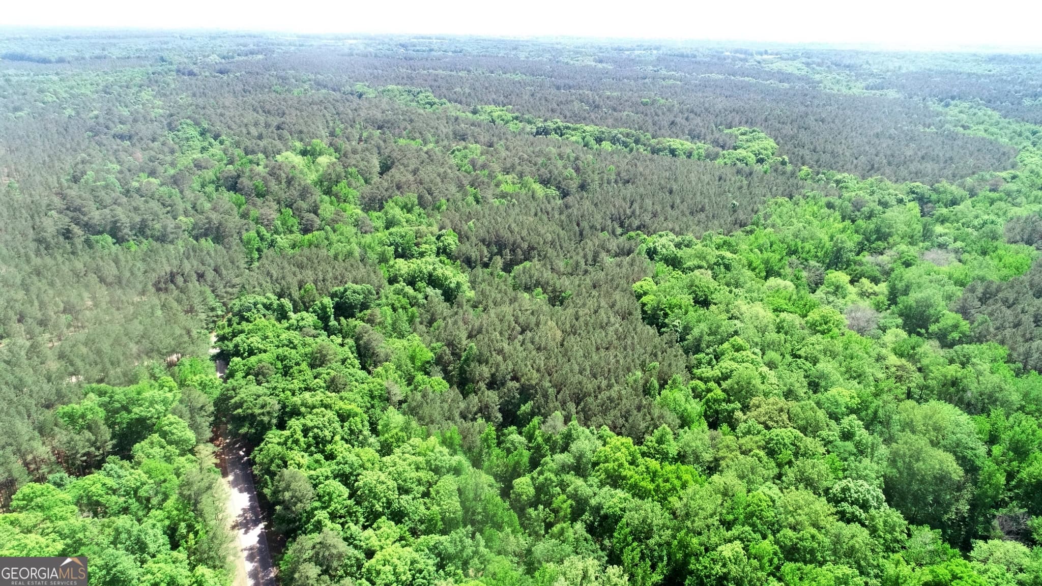 agriculture for sale at 0 Amos Road, White Plains, GA 30678 — photo 2