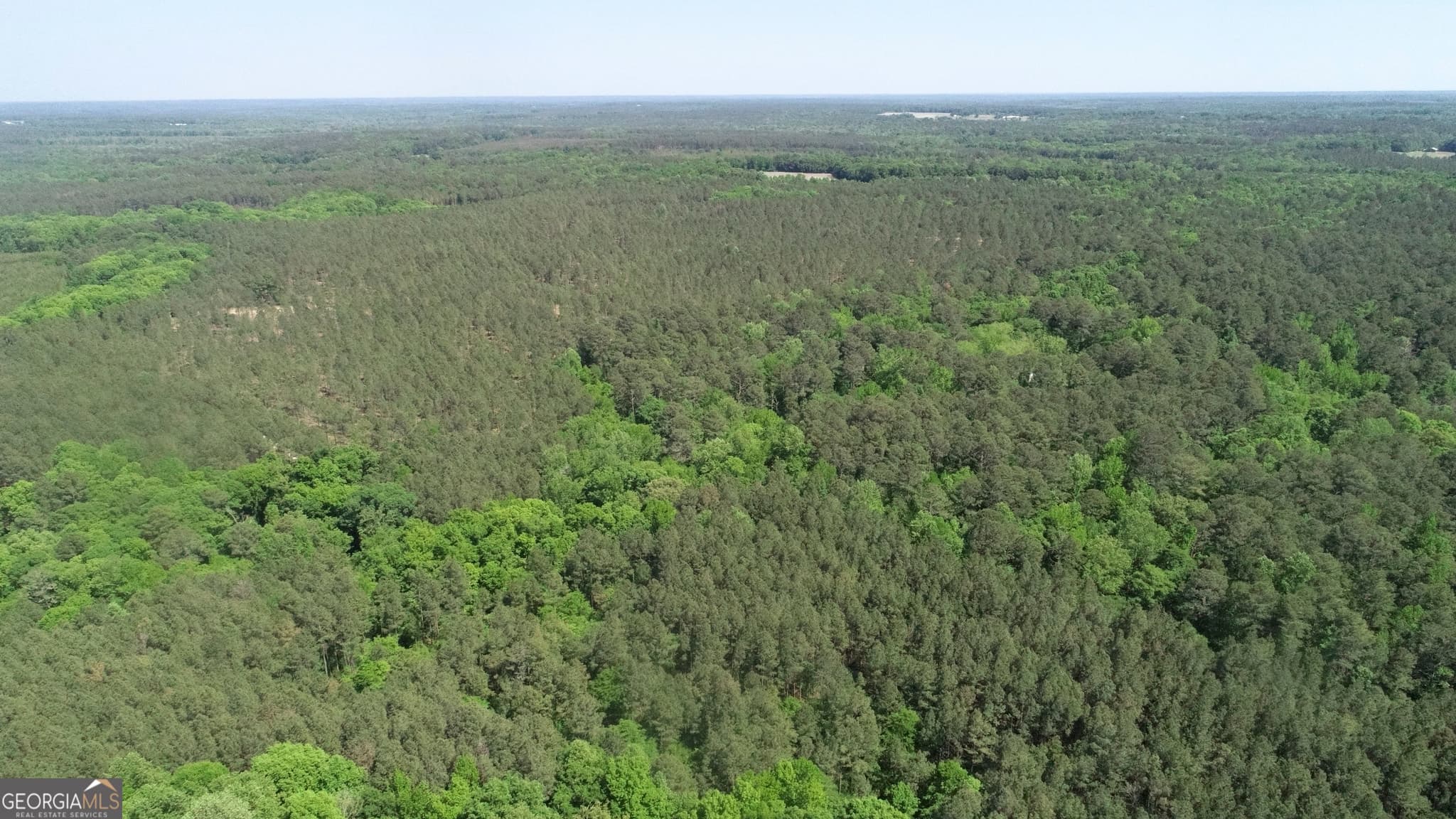 agriculture for sale at 0 Amos Road, White Plains, GA 30678 — photo 3