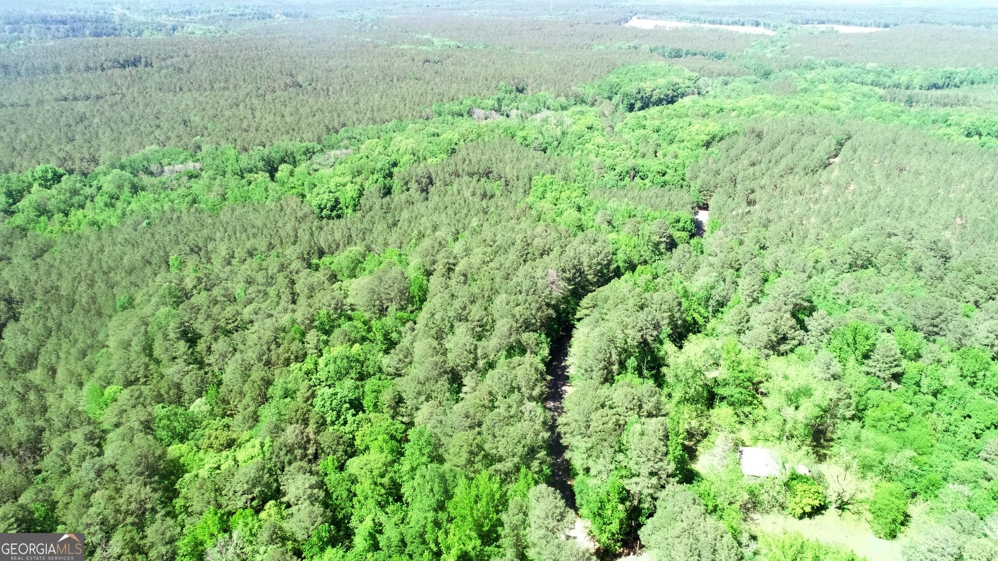 agriculture for sale at 0 Amos Road, White Plains, GA 30678 — photo 4