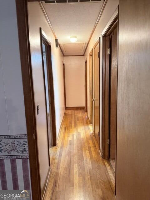 3 bedroom, 2 bathroom, 2,337 sq ft single family residence for sale at 537 McDonald Road, Sylvania, GA 30467 — photo 4