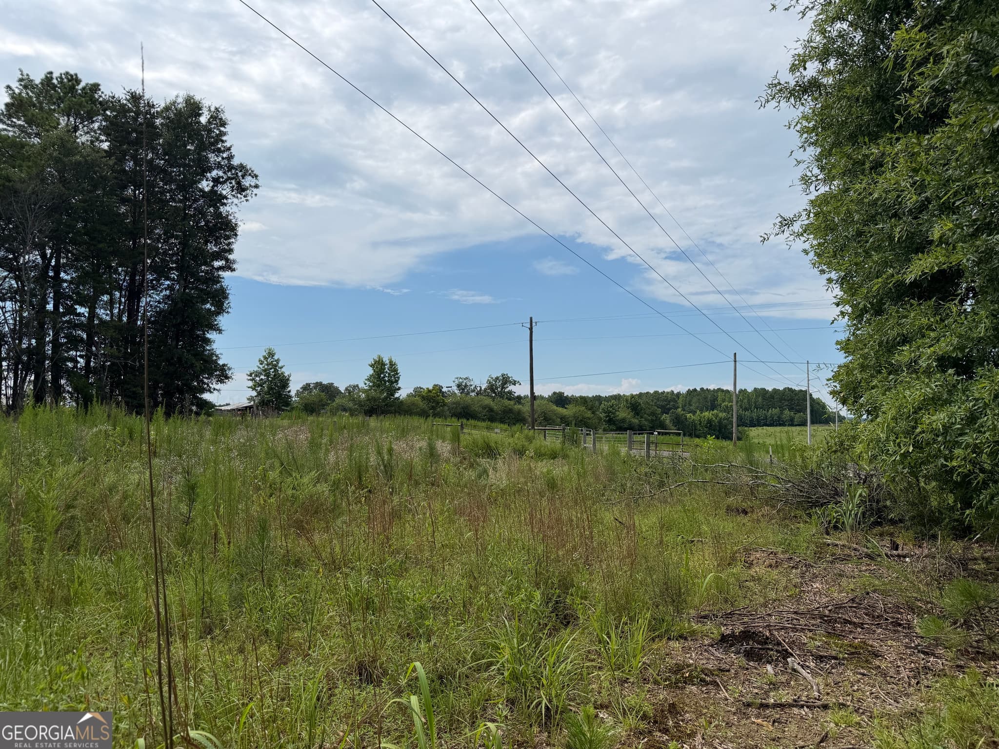 agriculture for sale at 004 County Rd 445, Haleyville, AL 35565 — photo 3