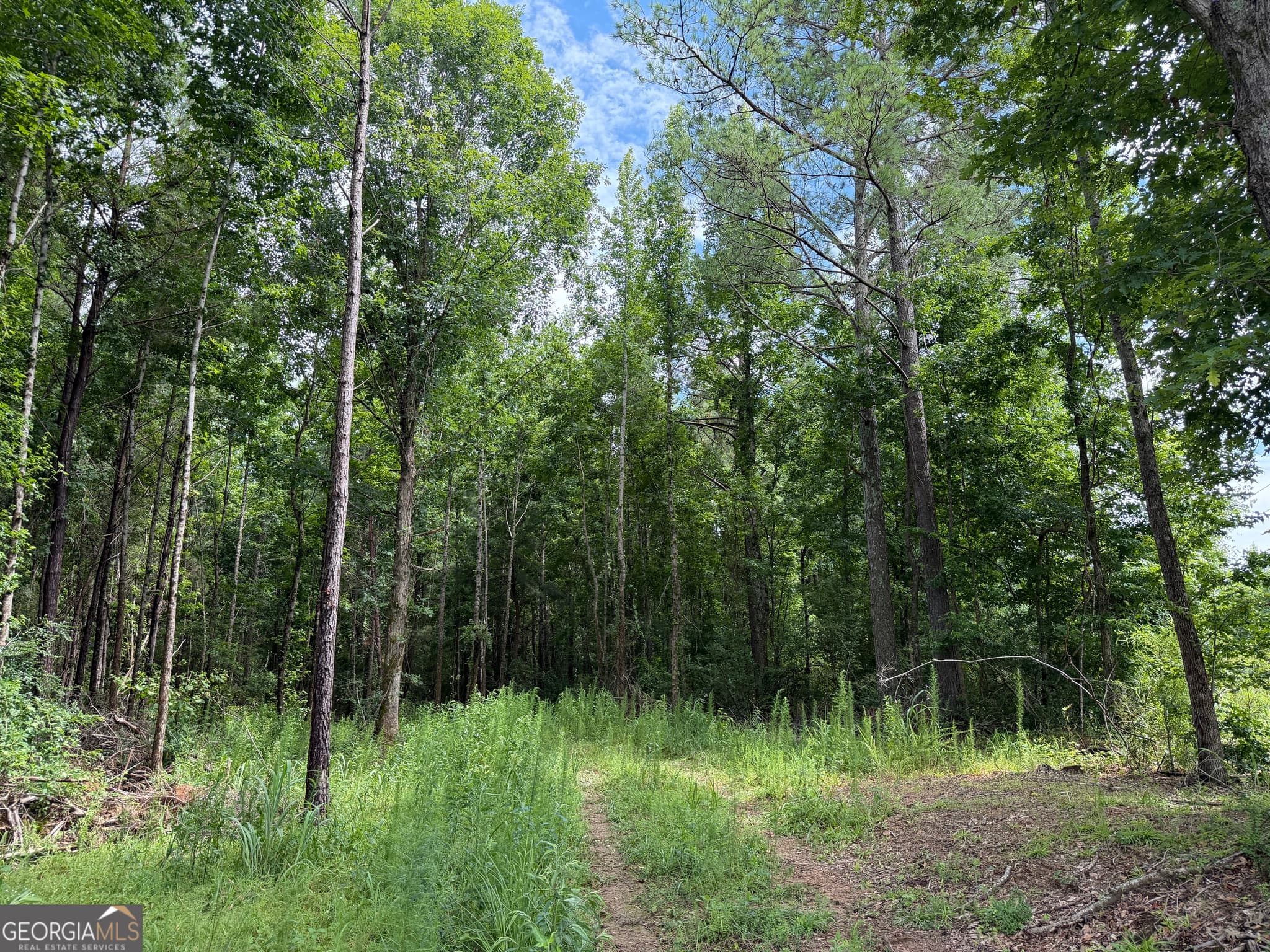 agriculture for sale at 004 County Rd 445, Haleyville, AL 35565