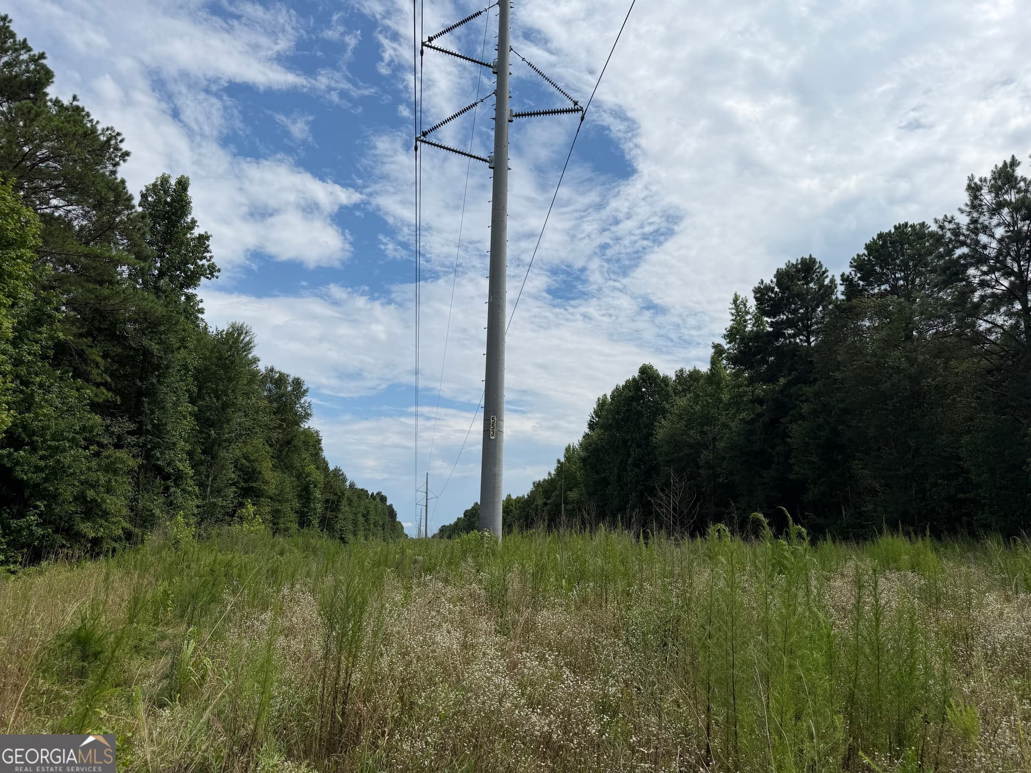 agriculture for sale at 004 County Rd 445, Haleyville, AL 35565 — photo 4
