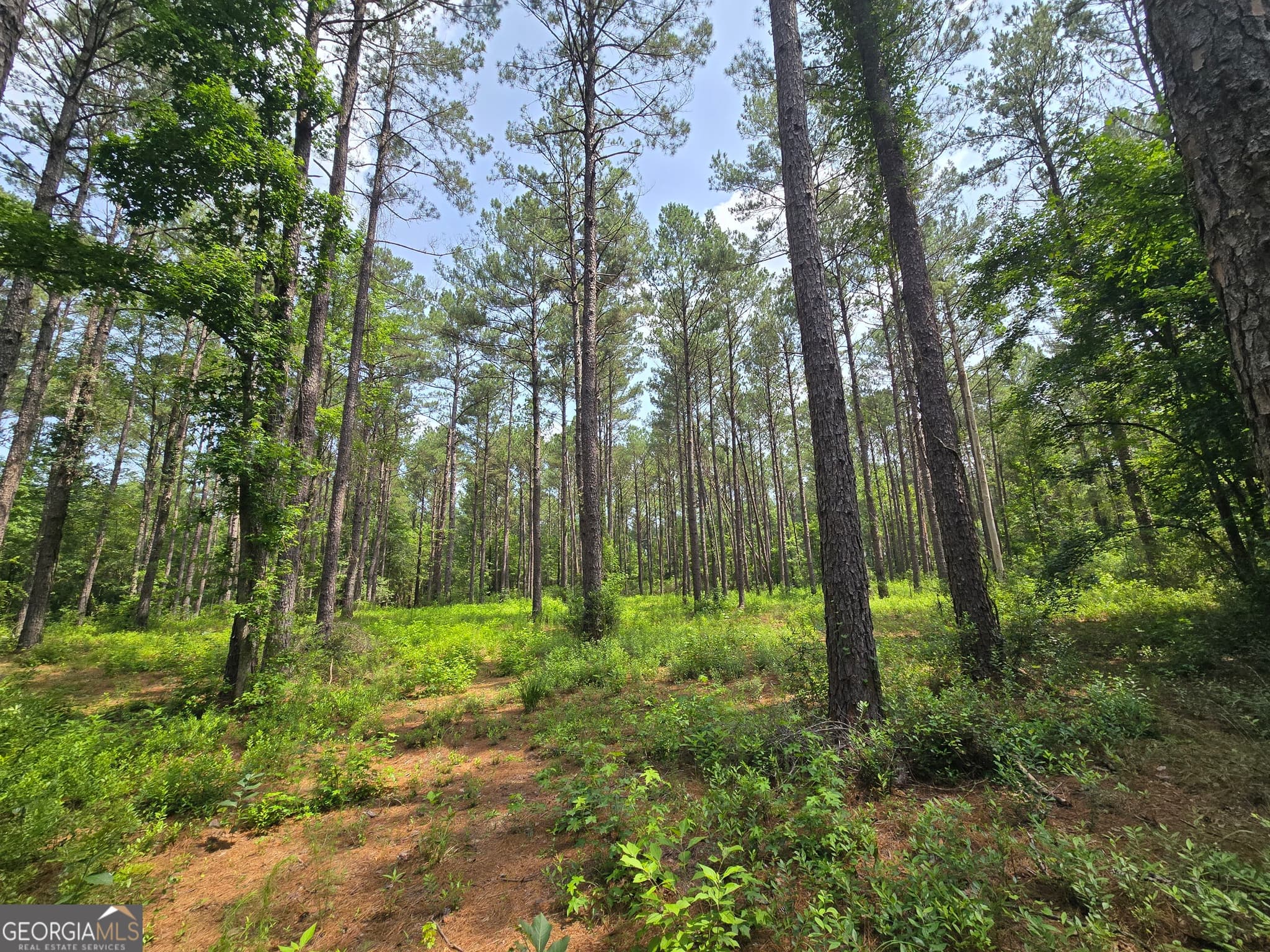 estate lot for sale at 0 Colby Drive, Dublin, GA 31021 — photo 2