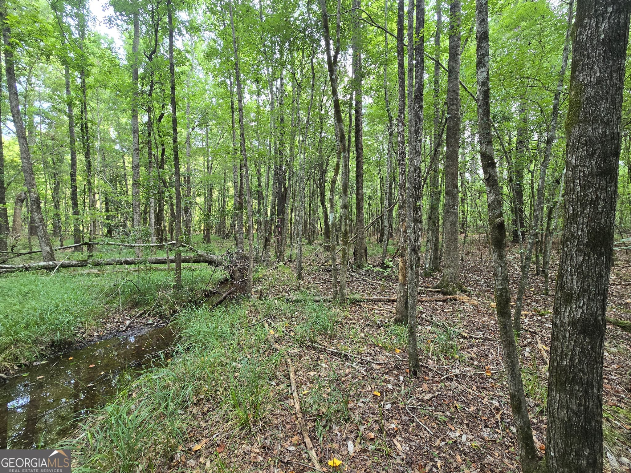 estate lot for sale at 0 Colby Drive, Dublin, GA 31021 — photo 3