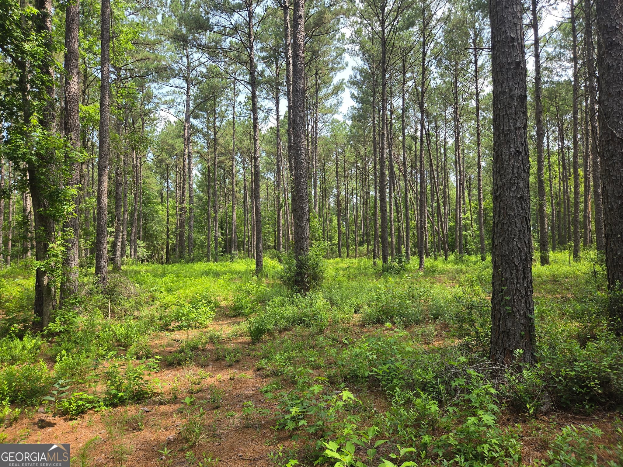 estate lot for sale at 0 Colby Drive, Dublin, GA 31021 — photo 1 of 5