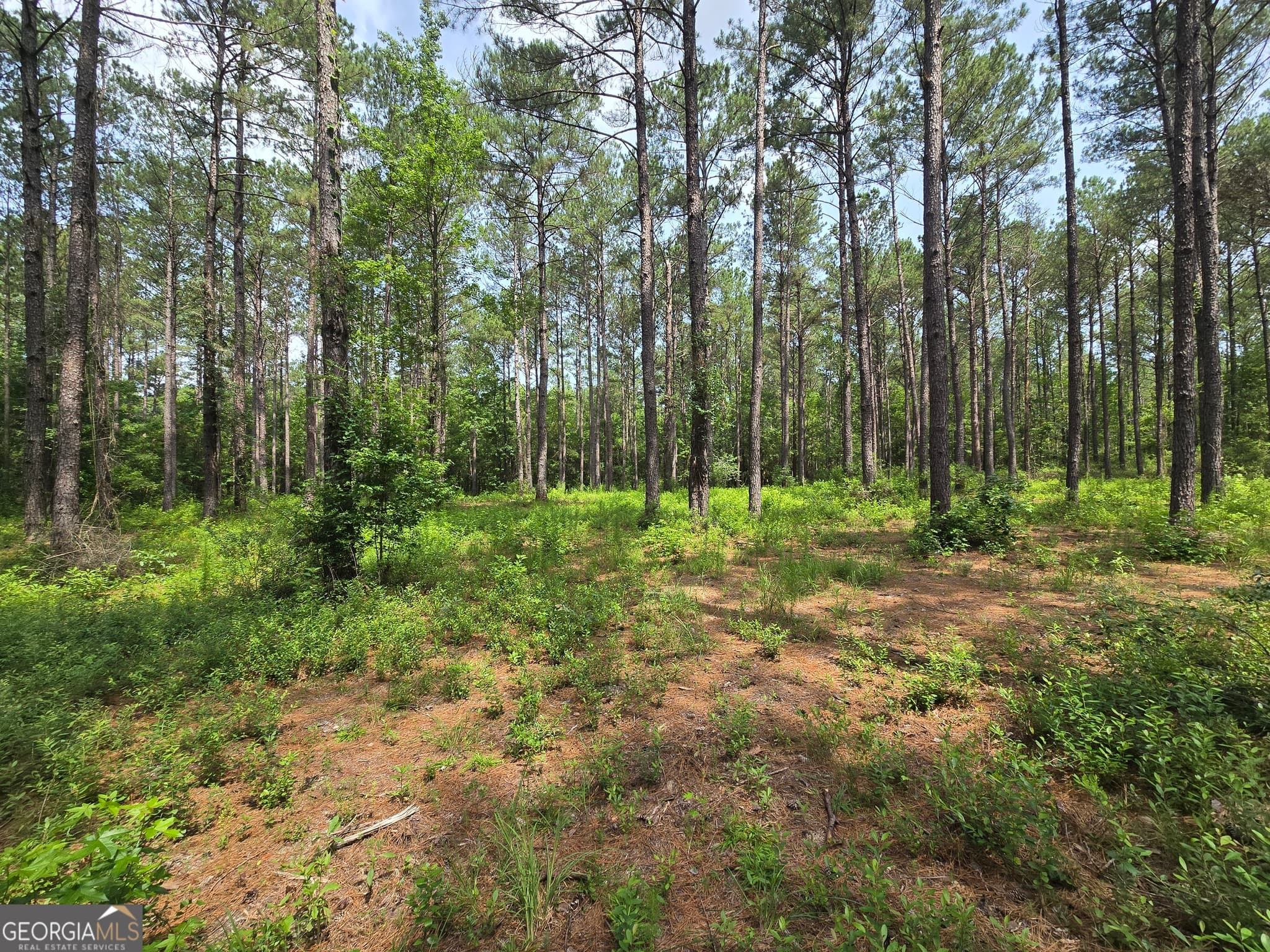 estate lot for sale at 0 Colby Drive, Dublin, GA 31021 — photo 5