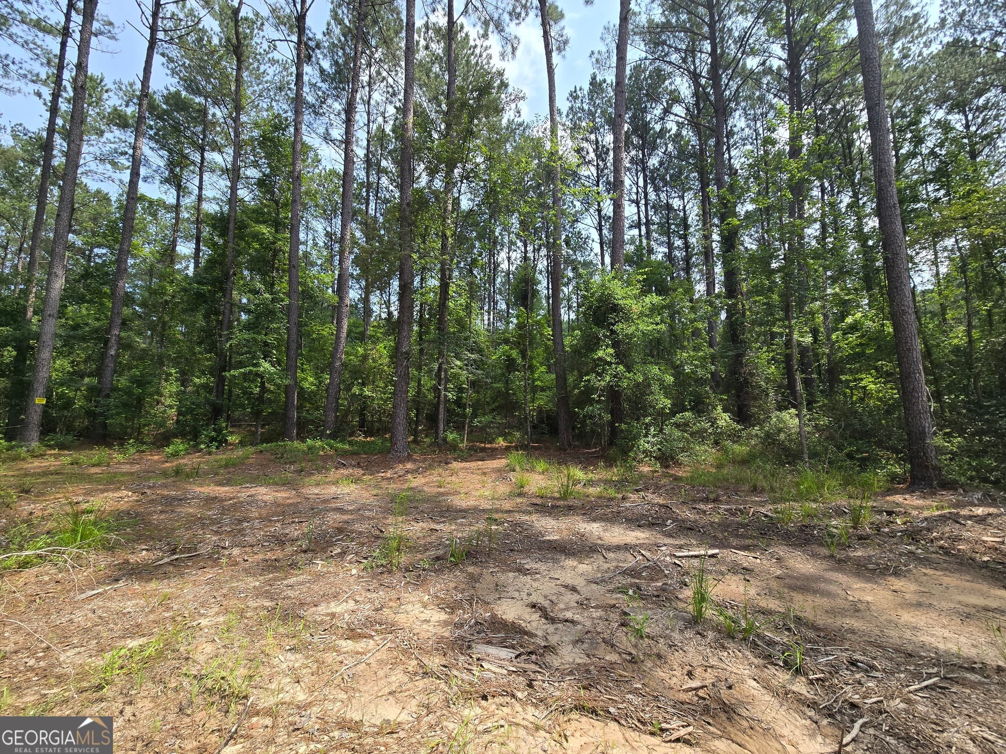 estate lot for sale at 0 Colby Drive, Dublin, GA 31021 — photo 4