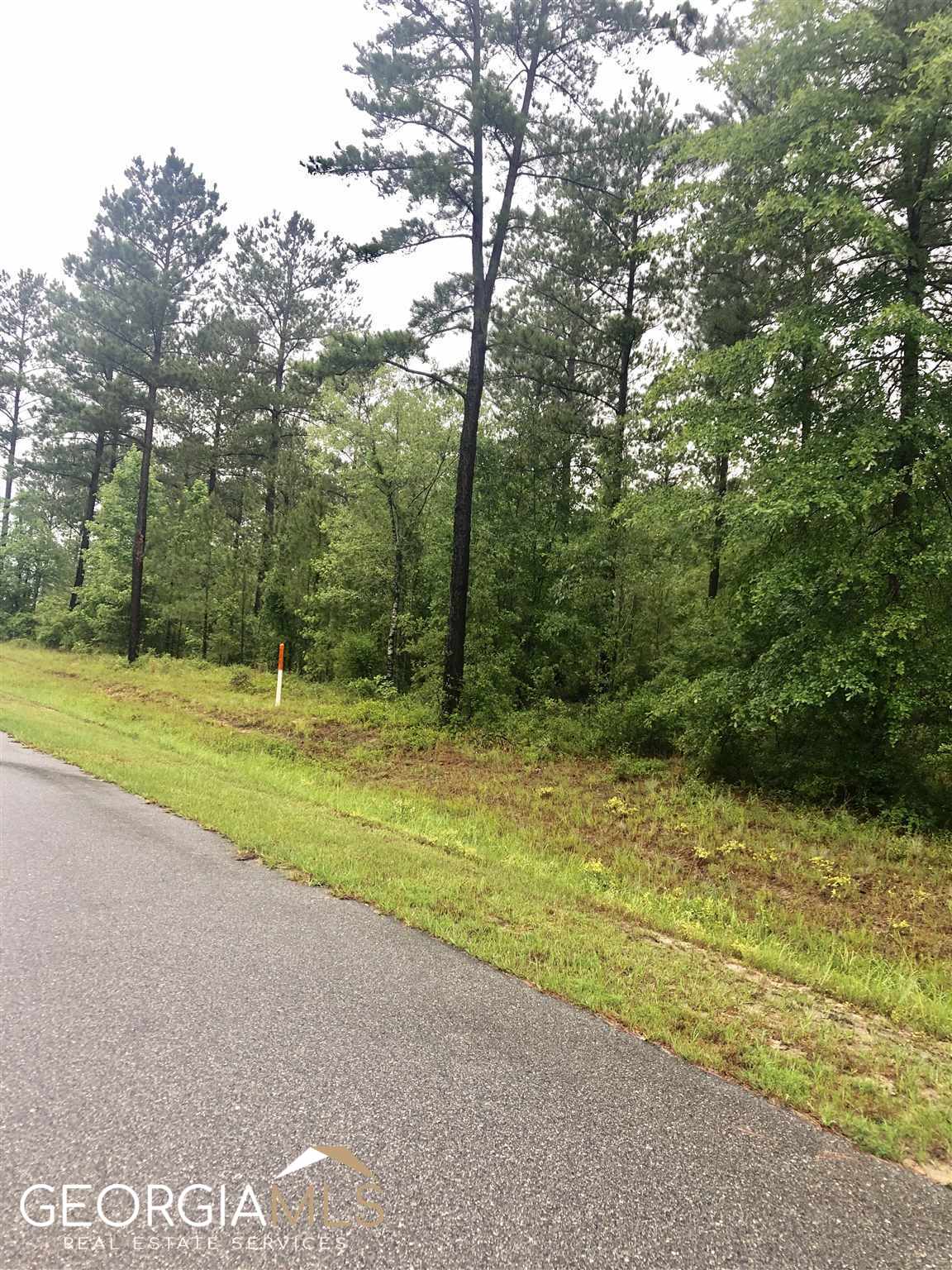 residential lot for sale at 0 Okmulgee Trail LOT 58, Dublin, GA 31021 — photo 2