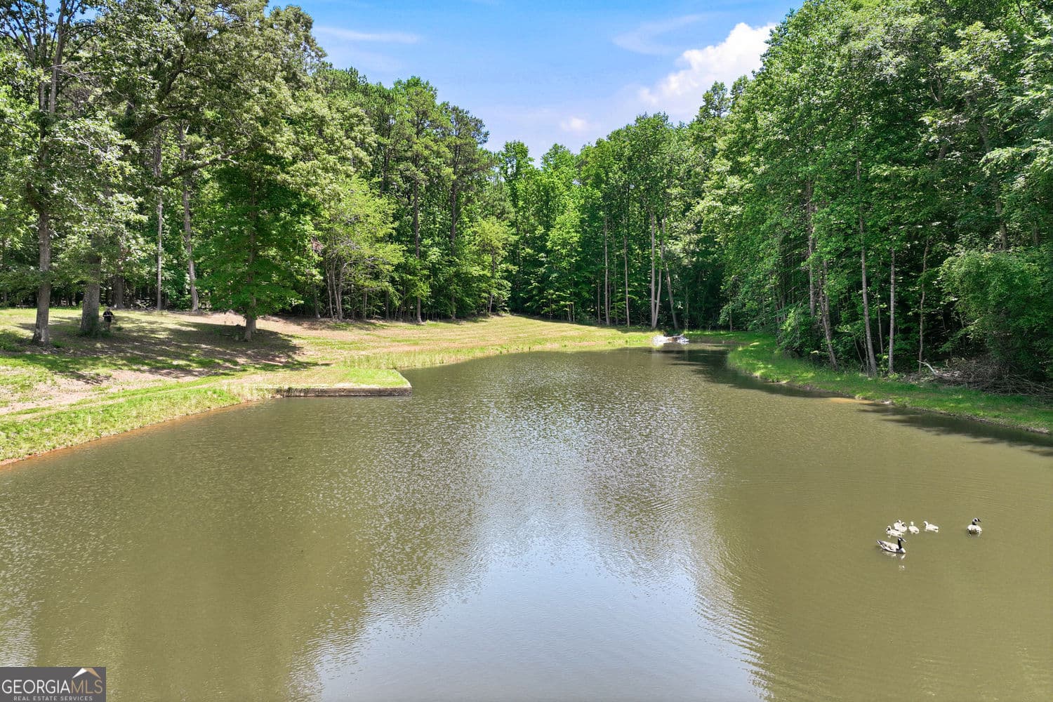 5 bedroom, 4.5 bathroom, 7,552 sq ft single family residence for rent at 3735 Smithtown Road, Suwanee, GA 30024 for $7,500 a month — photo 6