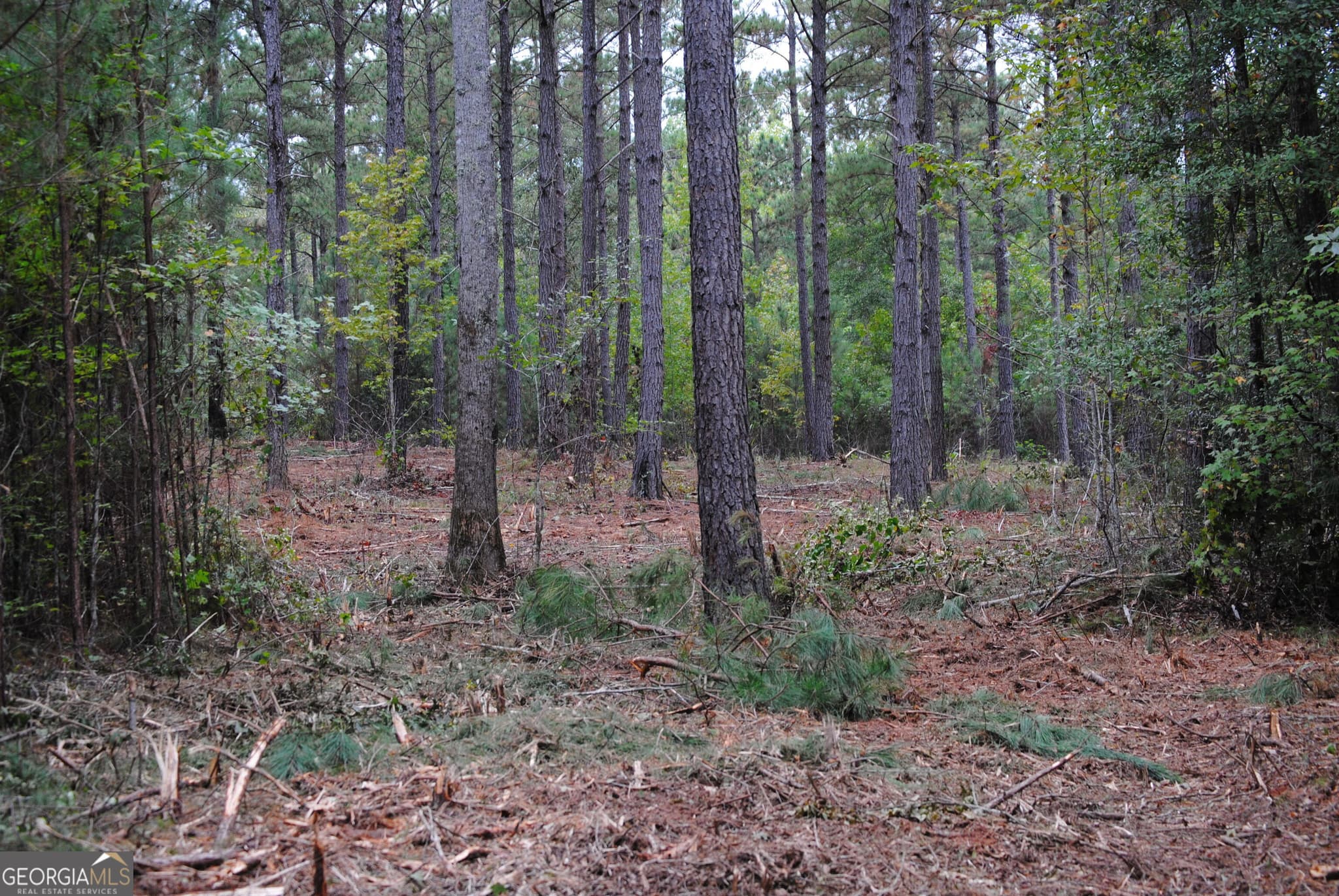 residential lot for sale at 151 W Drummond 8, West Point, GA 31833 — photo 2