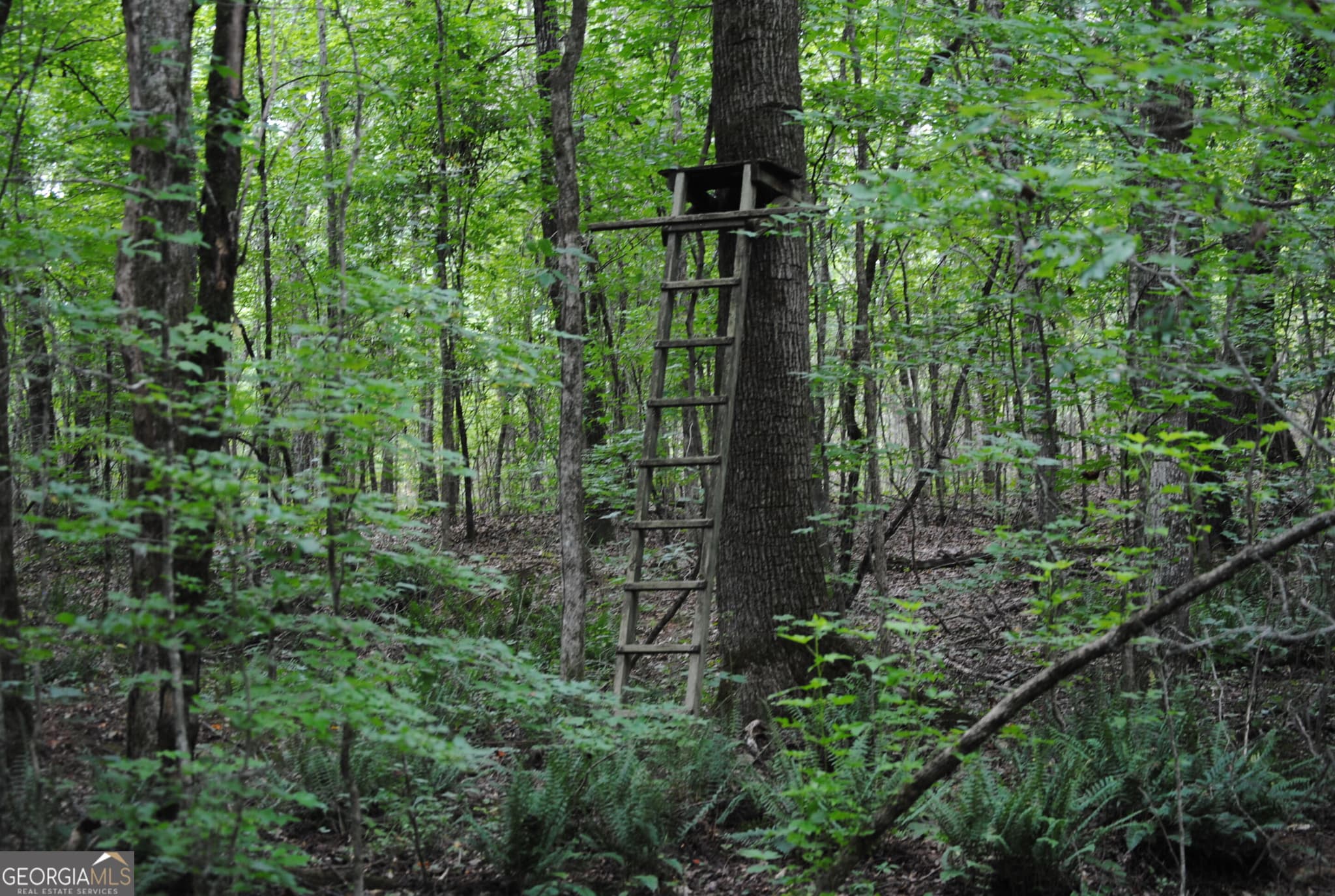 residential lot for sale at 151 W Drummond 8, West Point, GA 31833 — photo 7