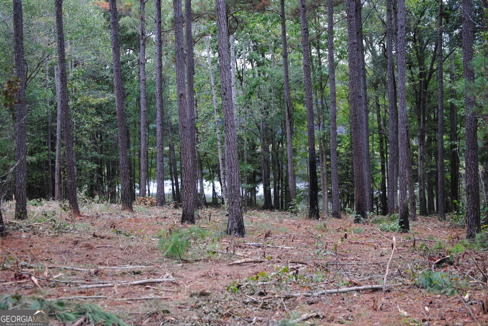 residential lot for sale at 151 W Drummond 8, West Point, GA 31833 — photo 3