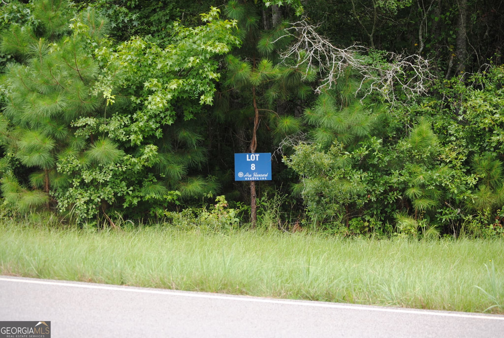 residential lot for sale at 151 W Drummond 8, West Point, GA 31833 — photo 1 of 11