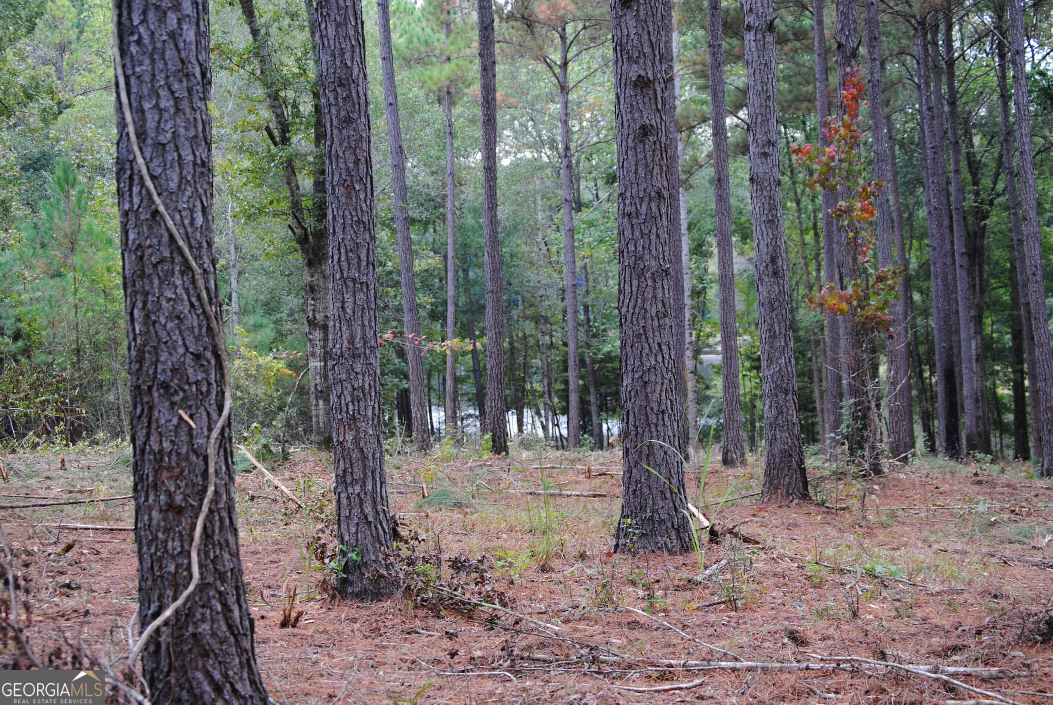 residential lot for sale at 151 W Drummond 8, West Point, GA 31833 — photo 5