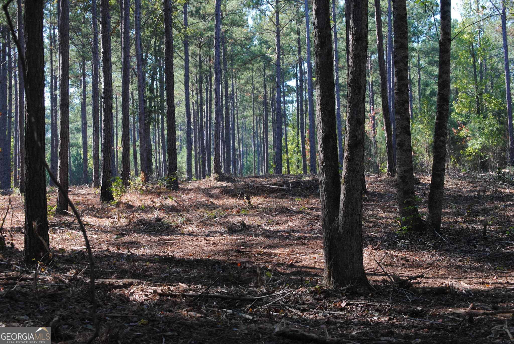 residential lot for sale at 151 W Drummond 8, West Point, GA 31833 — photo 9
