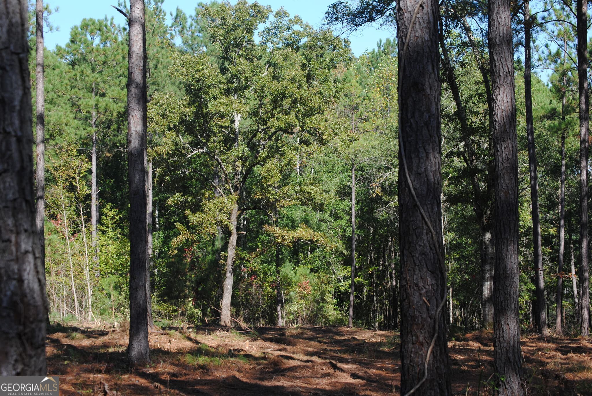 residential lot for sale at 151 W Drummond 8, West Point, GA 31833 — photo 10