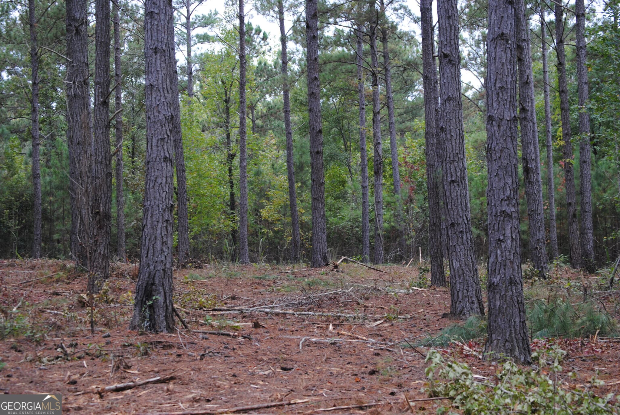 residential lot for sale at 151 W Drummond 8, West Point, GA 31833 — photo 4