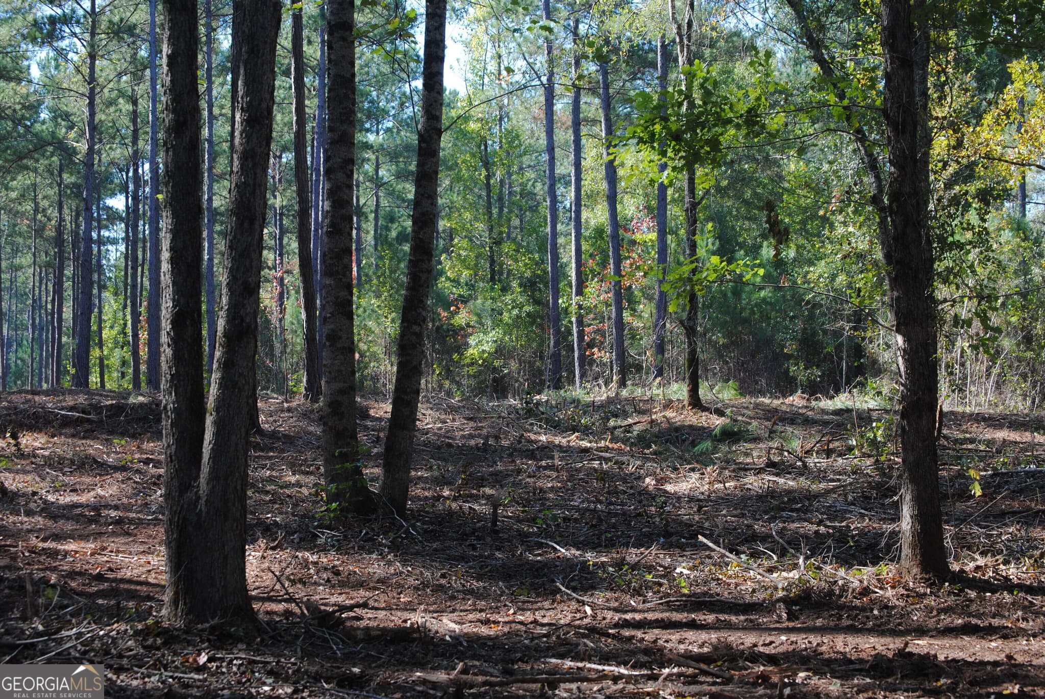 residential lot for sale at 151 W Drummond 8, West Point, GA 31833 — photo 8